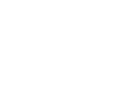 Žito